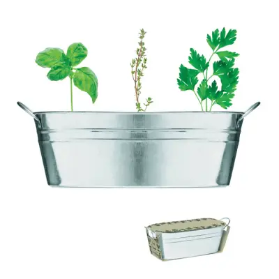 Ghiveci din Zinc cu Semințe de Plante Aromatice și Compost